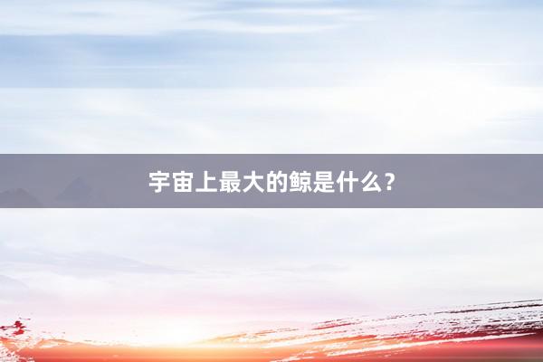 宇宙上最大的鲸是什么？