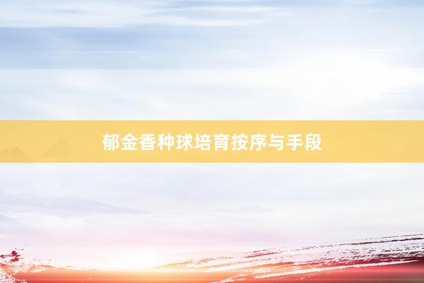 郁金香种球培育按序与手段