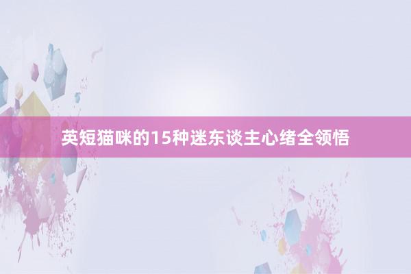 英短猫咪的15种迷东谈主心绪全领悟